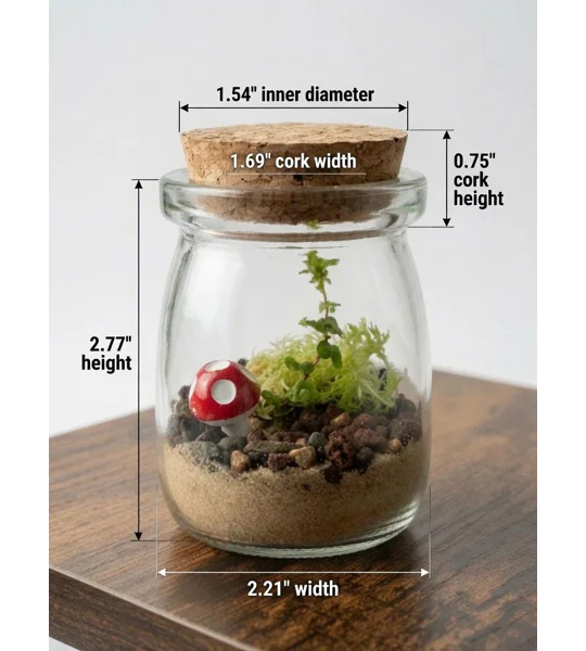 DIY Live Garden Terrarium Kit – Mini Plants, Mushroom Figurine, Glass Jar