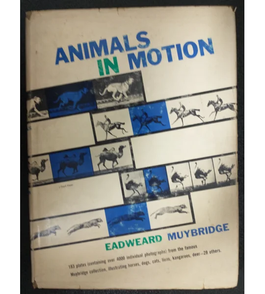 Animals in motion