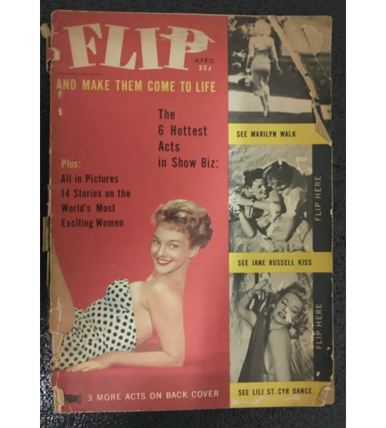 Flip