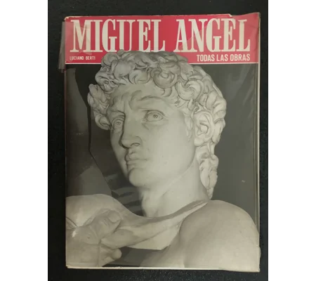Miguel Angel todas las obras