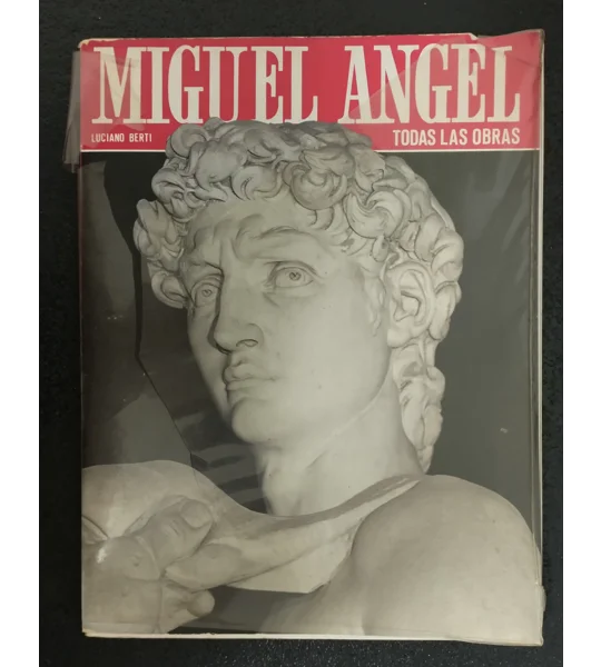 Miguel Angel todas las obras
