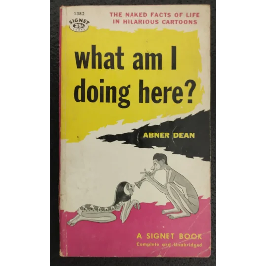 What am I doing here?