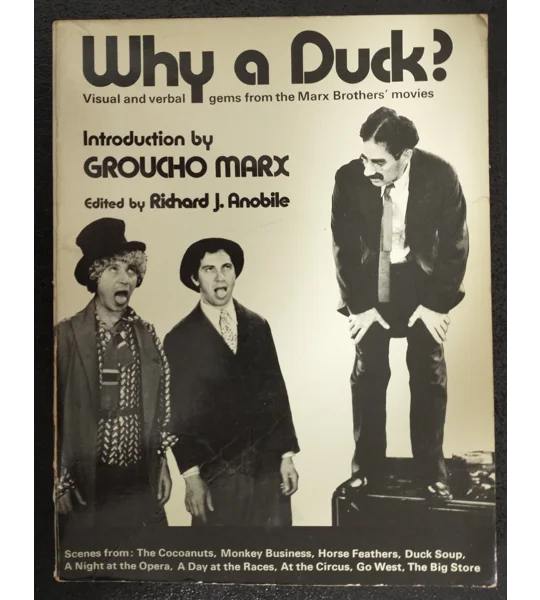 Why a duck