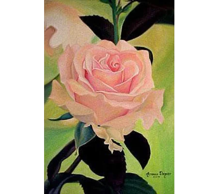 A Blossoming Pink Rose (7 x 5 canvas print)