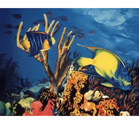 Reef Royalty (5 x 7 canvas print)