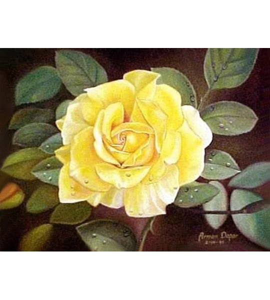 The Gentle Lady (5 x 7 canvas print)