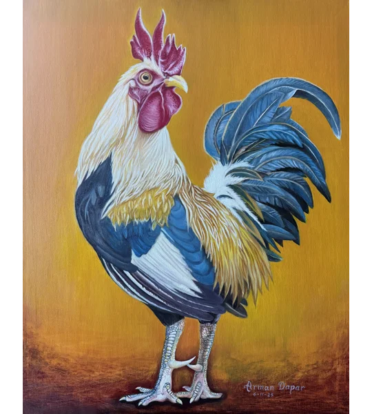 The Rooster's Stare (7 x 5 canvas print)