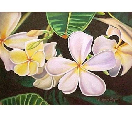 Whimsical White Plumerias (5 x 7 canvas print)