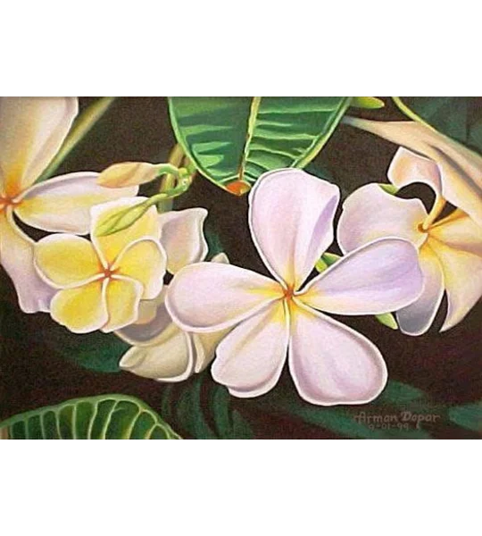 Whimsical White Plumerias (5 x 7 canvas print)