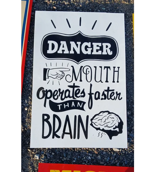 Danger mouth works