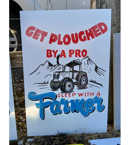Get ploughed by a pro