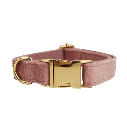 Personalized Velvet Dog Collar | Custom Name | KEEPSORA