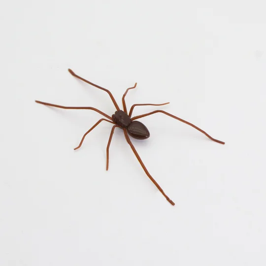 Realistic Fake Spider Halloween Decoration | Prank Spider Prop