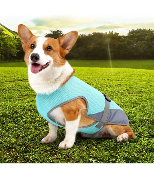 Dog Cooling Vest – Lightweight Summer Pet Clothing for Hot Weather Walks & Outdoor Adventures – FREE