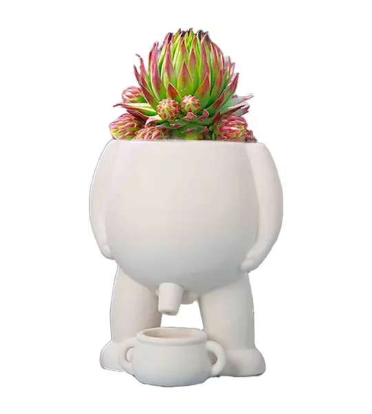 Funny Peeing Vase Planter – Whimsical Resin Succulent Pot & Novelty Garden Decor – FREE SHIPPING