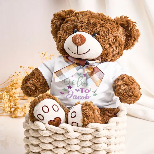 Personalized Teddy Bear Plush Toy | Baby Gift | KEEPSORA