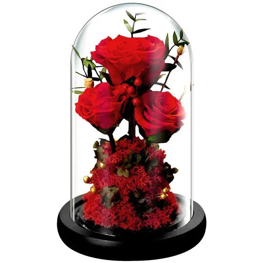 Preserved Rose Glass Dome Gift | KEEPSORA