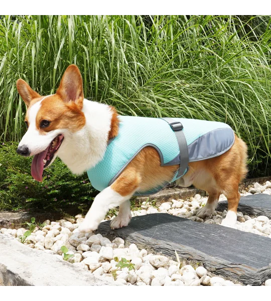Dog Cooling Vest – Lightweight Summer Pet Clothing for Hot Weather Walks & Outdoor Adventures – FREE