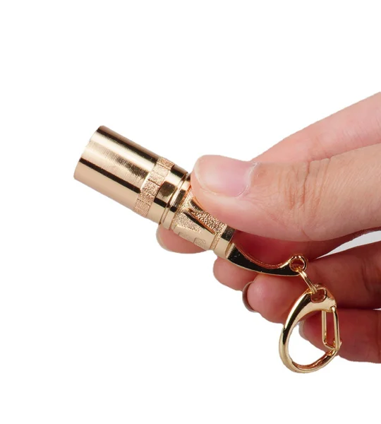 Mini LED Keychain Flashlight – Zinc Alloy Portable Pocket Light for Camping – FREE SHIPPING