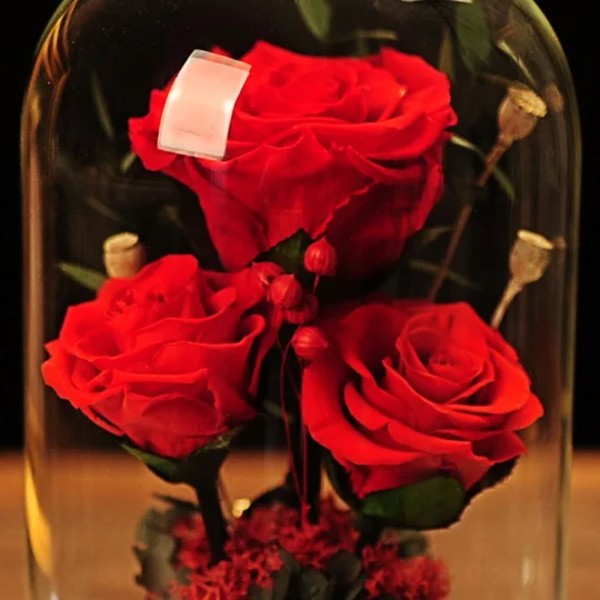 Preserved Rose Glass Dome Gift | KEEPSORA
