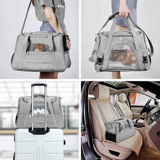 Portable Pet Carrier Bag for Cats & Small Dogs | KEEPSORA