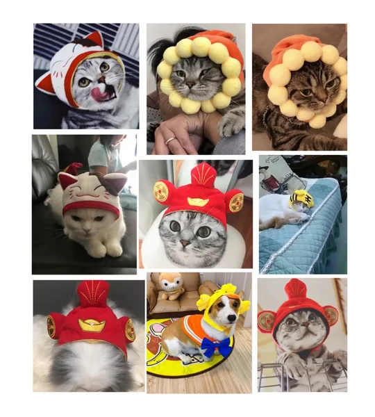 Cute Cotton Pet Hat for Cats & Small Dogs – Adjustable Party Cap & Photo Prop – FREE SHIPPING