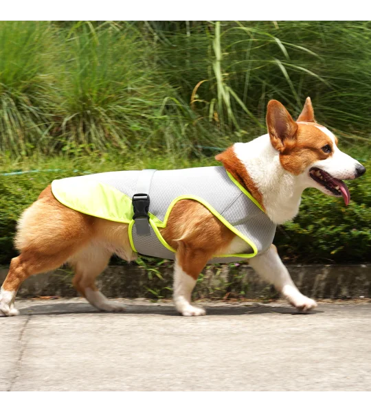 Dog Cooling Vest – Lightweight Summer Pet Clothing for Hot Weather Walks & Outdoor Adventures – FREE