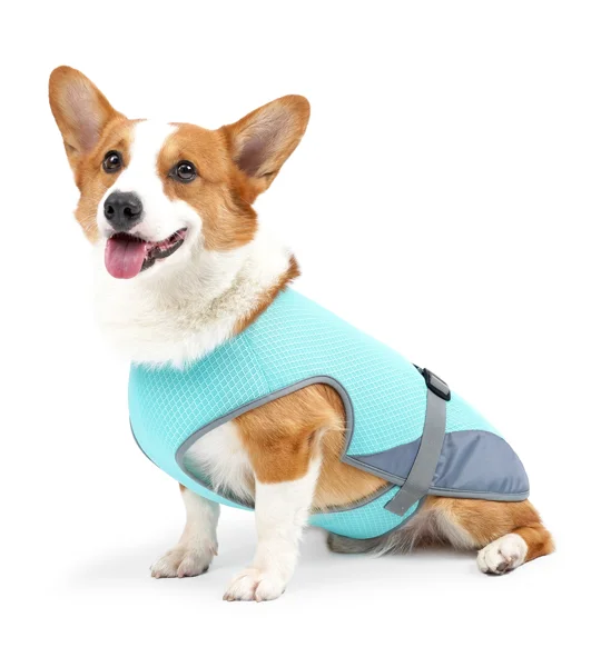 Dog Cooling Vest – Lightweight Summer Pet Clothing for Hot Weather Walks & Outdoor Adventures – FREE