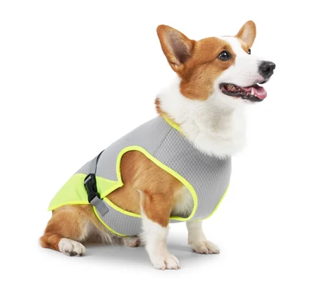 Dog Cooling Vest – Lightweight Summer Pet Clothing for Hot Weather Walks & Outdoor Adventures – FREE