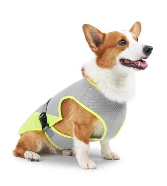 Dog Cooling Vest – Lightweight Summer Pet Clothing for Hot Weather Walks & Outdoor Adventures – FREE
