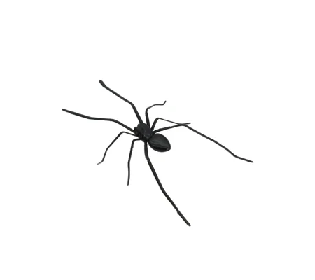 Realistic Fake Spider Halloween Decoration | Prank Spider Prop