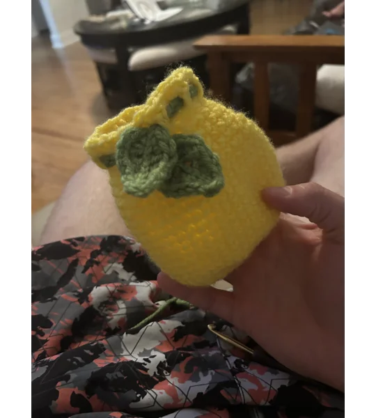 Fruit Bag