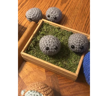 Pet Rock