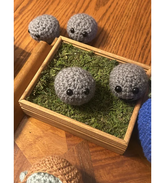 Pet Rock