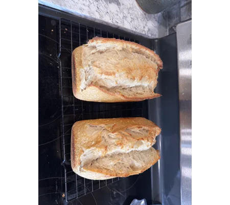 Plain sourdough loaf