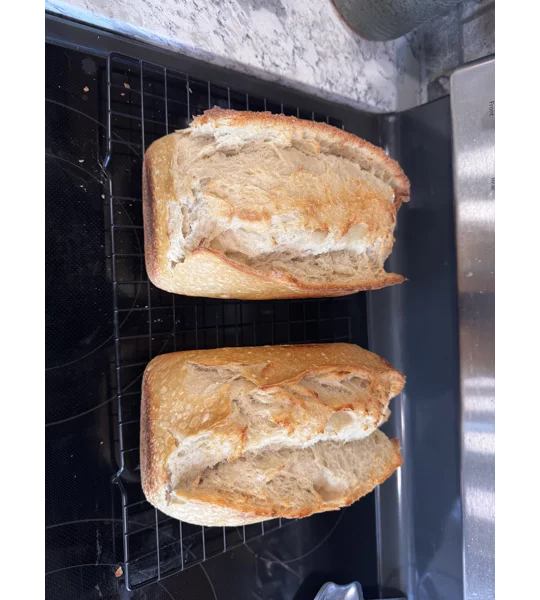 Plain sourdough loaf