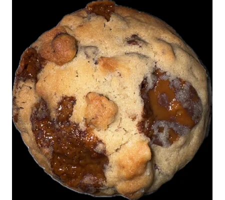 Chocolate chip Milk Dud