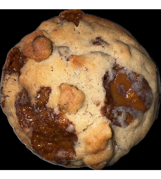 Chocolate chip Milk Dud