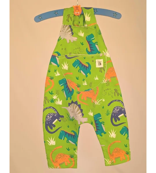 Dinosaur Baby Dungarees Romper: Upcycled Sustainable Baby Clothing (9-12m)