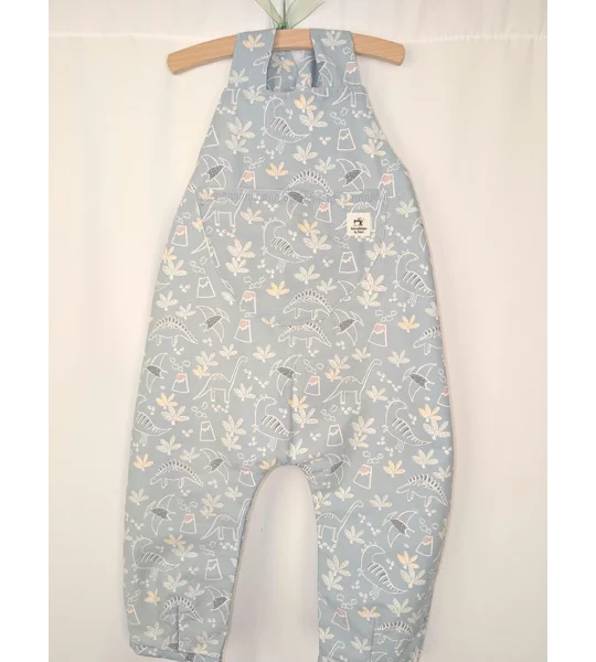 Dinosaur Dungarees, pastel blue(18-24y) sustainable children's gift.