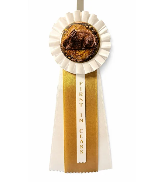 3" First In Class Ribbon