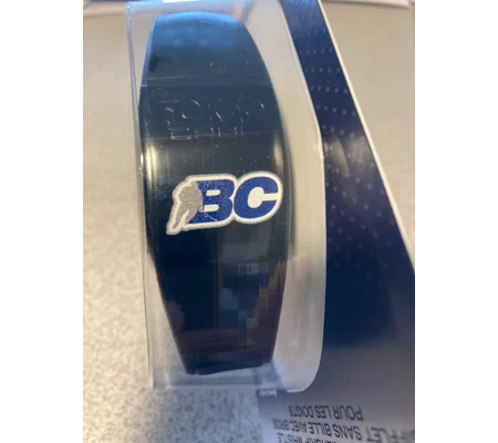 Logo Fox40 CAUL Whistle