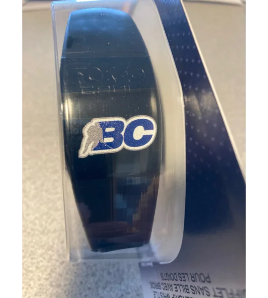 Logo Fox40 CAUL Whistle