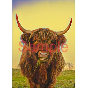 A3 framed Highland cow photo