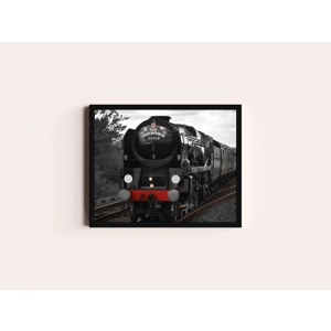 35108 British India Line print