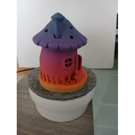 Fairy mushroom house