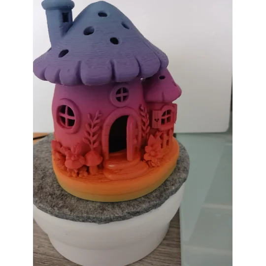 Fairy mushroom house