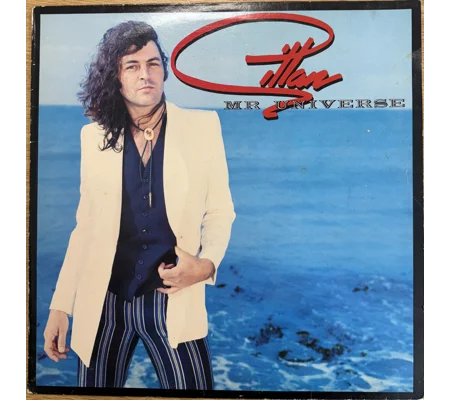 Gillan 1979 | Mr Universe