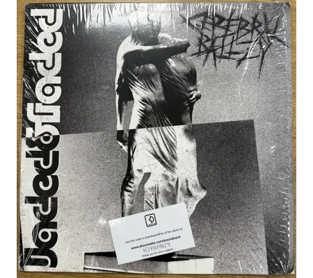 Cerebral Ballzy | Jaded & faded | 2014