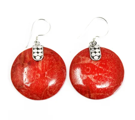 925 Silver Earrings - Disc Disc Décor